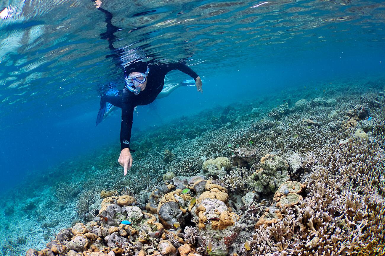 Oceanic Society traveler, Mary, points to a blue devil damselfish (Chrysiptera cyanea). © Keoki Stender