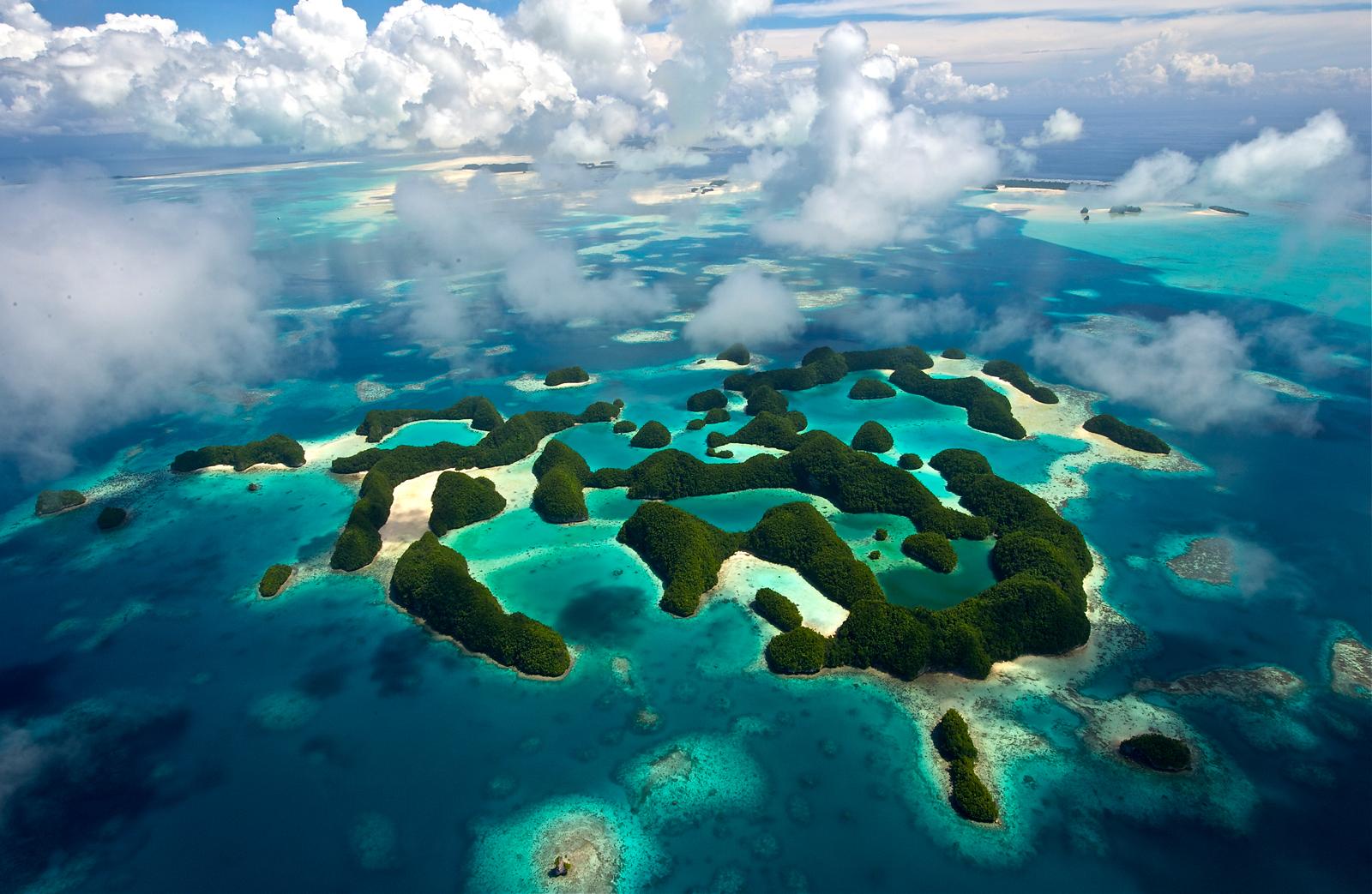 Help study sharks and coral reefs in Palau's Rock Islands.