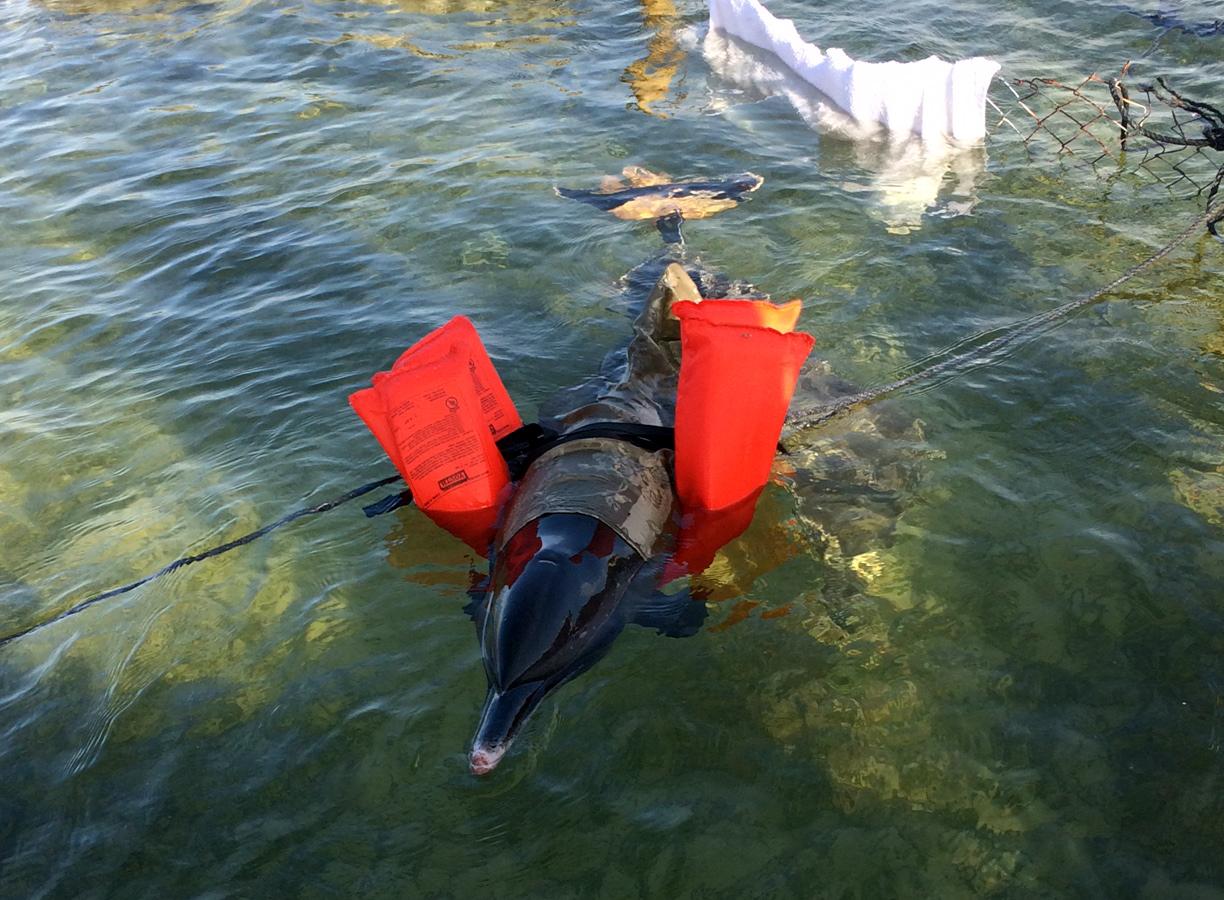 We used life preservers to help keep Annabelle afloat.