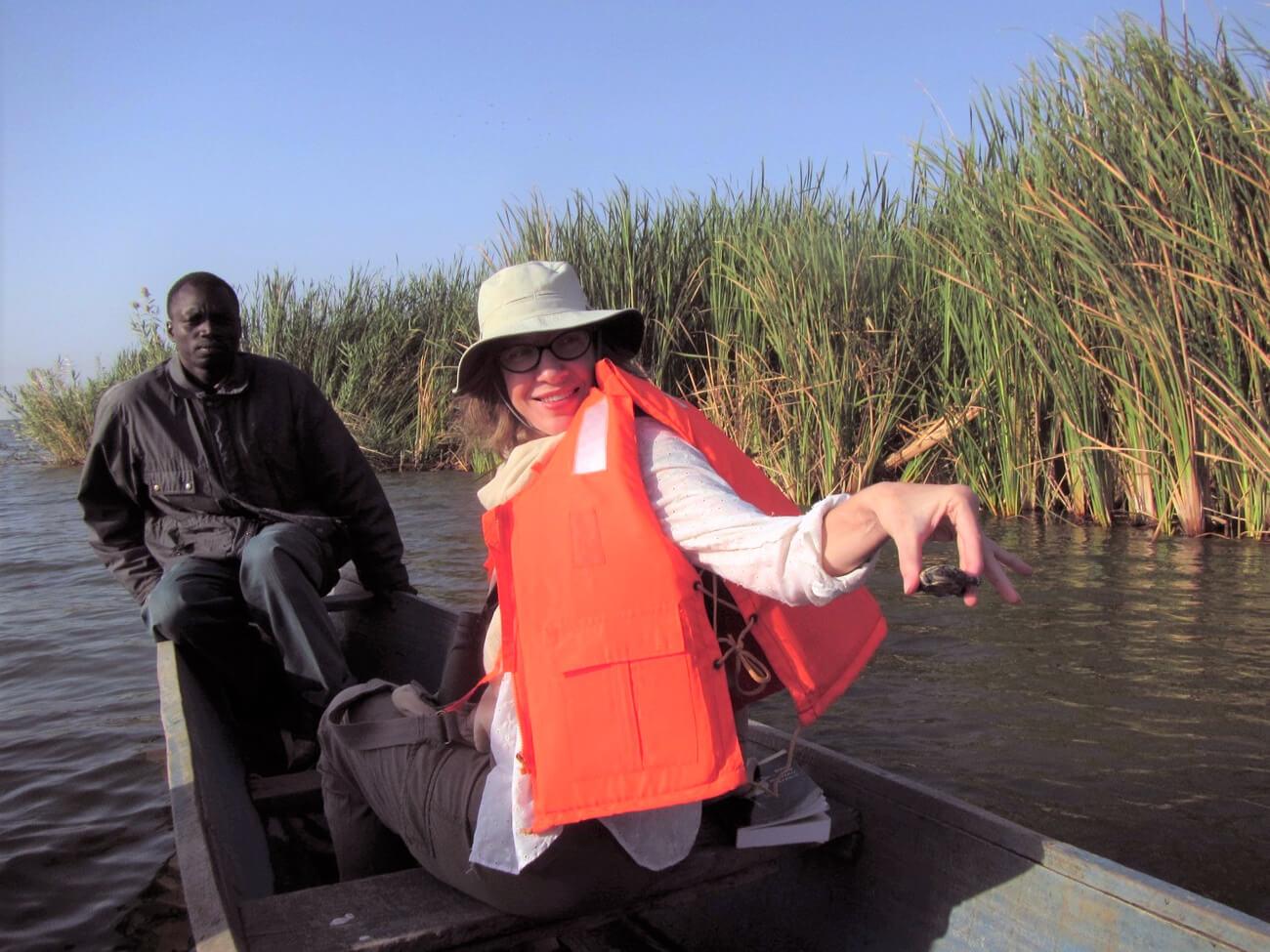 Getting ready to release a juvenile Adanson’s mud turtle to the wild at Lake Guiers, Senegal. © Lucy Keith-Diagne