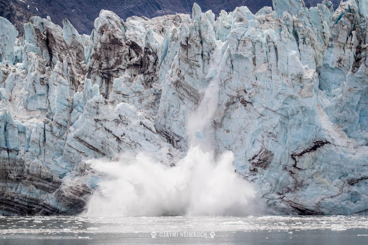 A block of ice falls from Johns Hopkins Glacier in Glacier Bay. © Jaymi Heimbuch