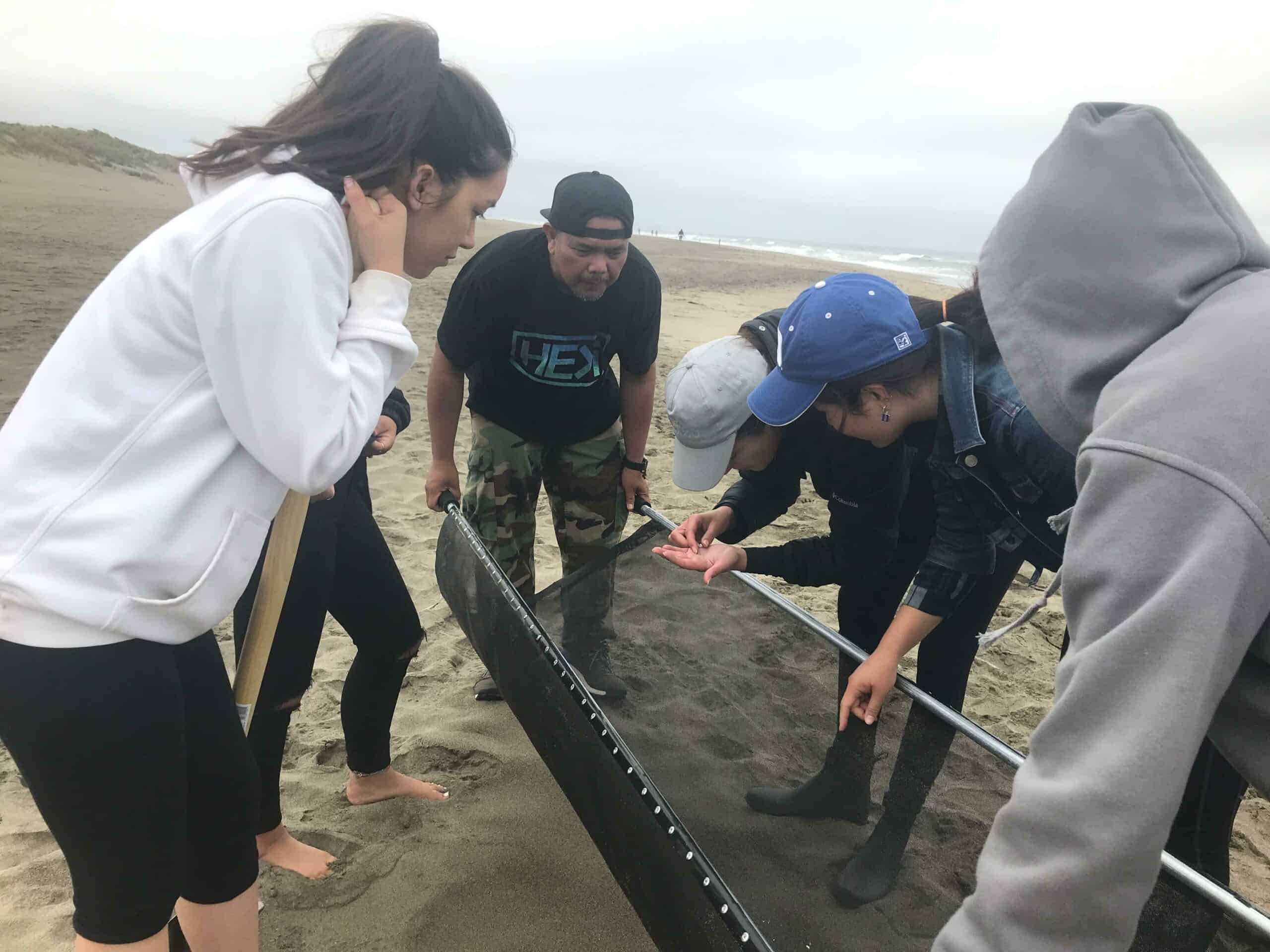 sifting for microplastics on the beach