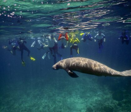 belize volunteering