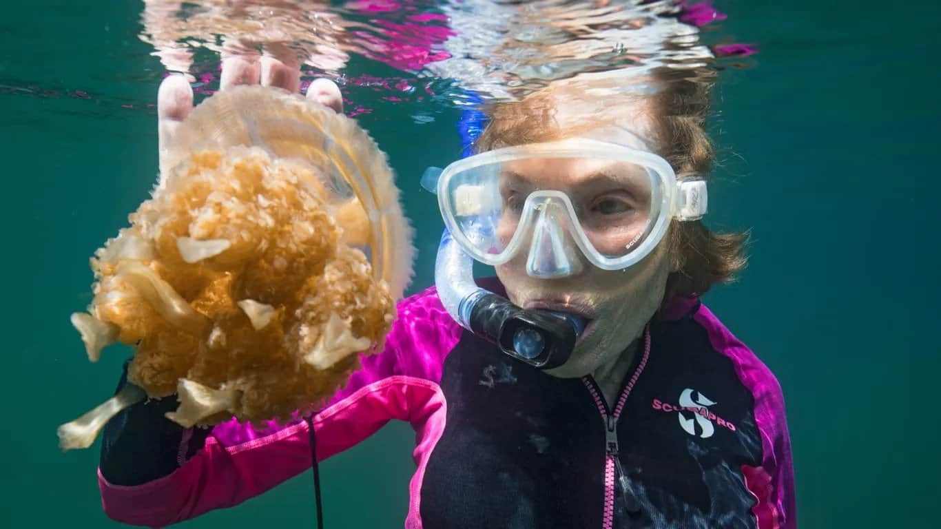 sylvia earle swims in jellyfish lake Palau