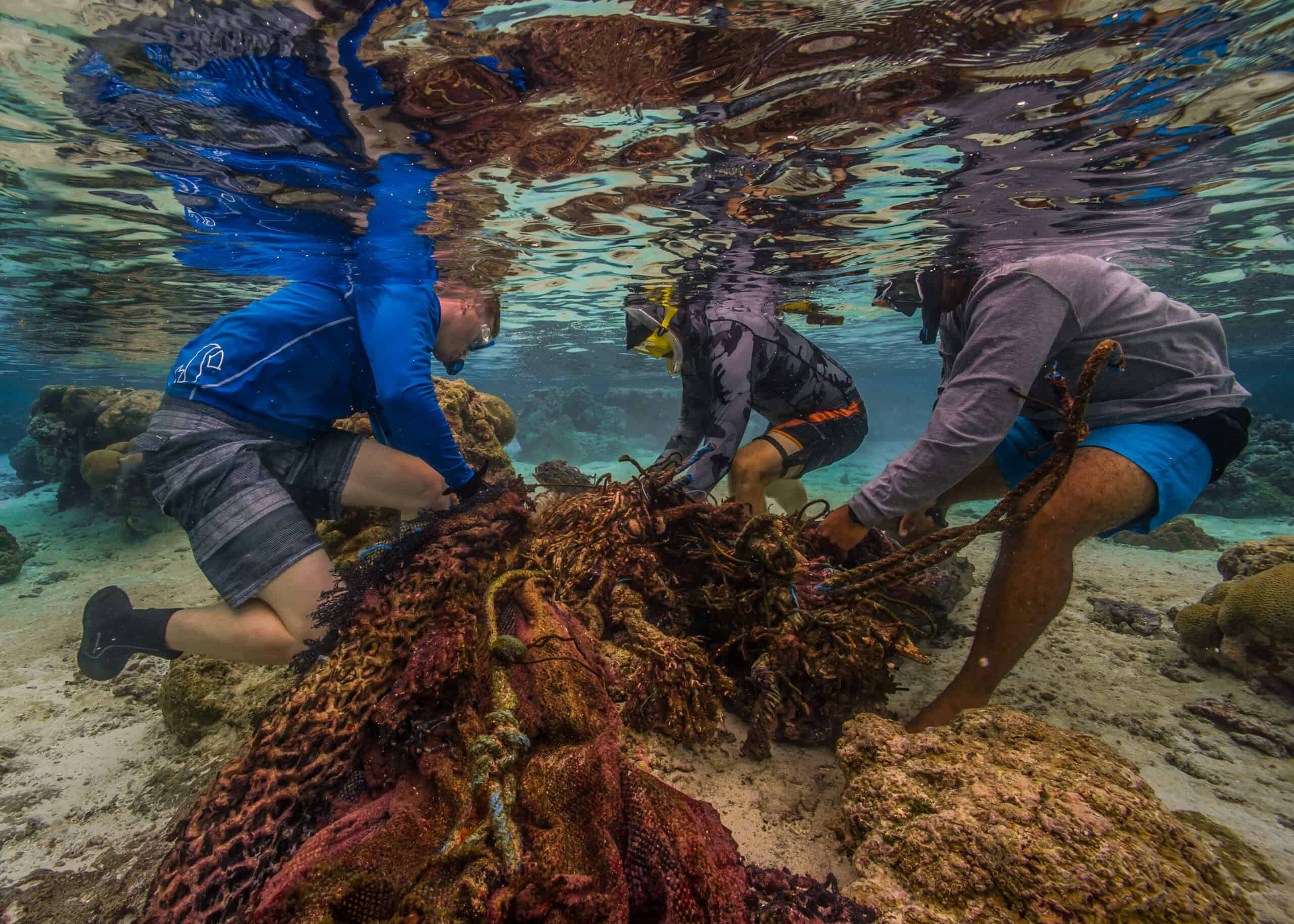fishing gear entangled in coral reef