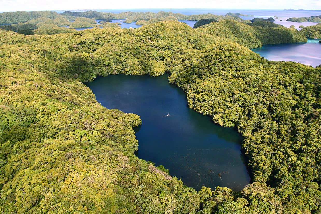 Aerial view of Jellyfish Lake, Palau