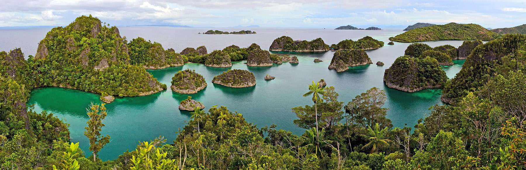 Raja Ampat liveaboard snorkeling trips