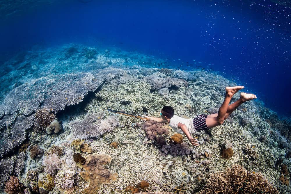 spear fisher in Alor Indonesia