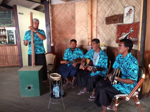 tongan musicians