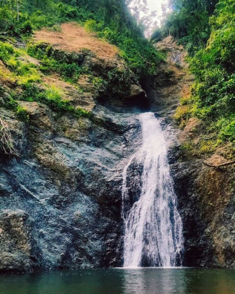 rainforest waterfall hike puerto rico